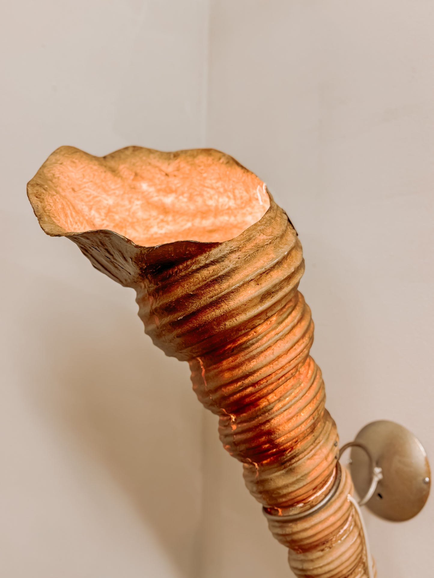 XL Capiz schelp wandlamp