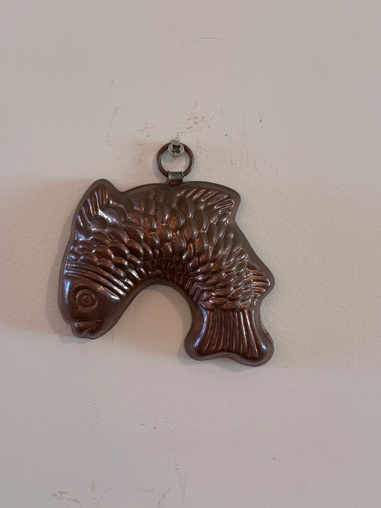 Vintage en antieke visbakvormen voor aan de muur
