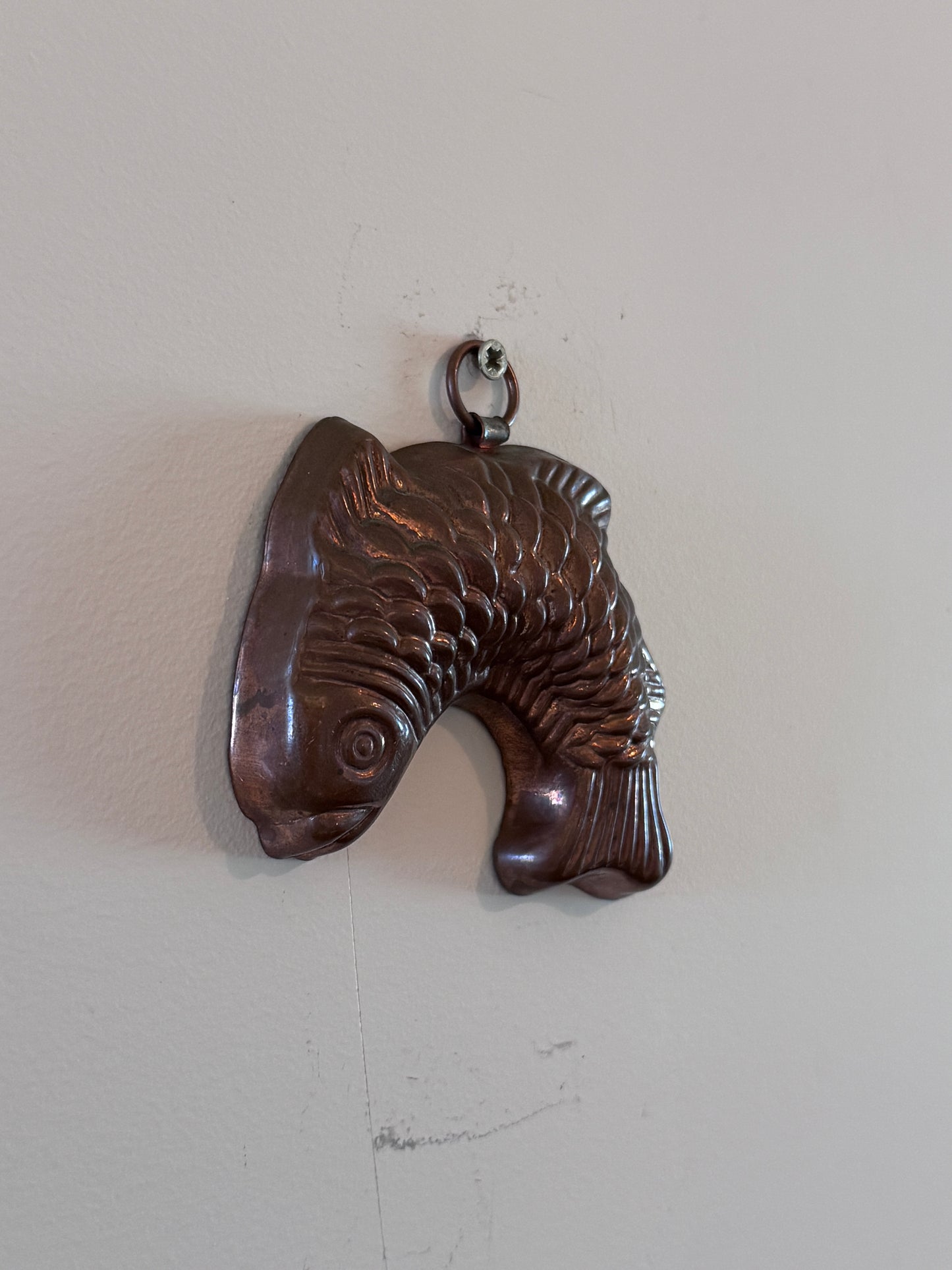 Vintage en antieke visbakvormen voor aan de muur